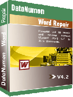 Купить DataNumen Word Repair