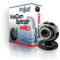 WebCamSplitter Pro. Купить в allsoft.ru