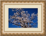 ART Frames 1.15 - рамки и маски для фотографий ART Frames 1.15 - рамки и маски для фотографий