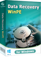 Data Recovery WinPE